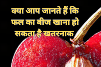 क्या आप जानते हैं कि फल का बीज खाना हो सकता है खतरनाक